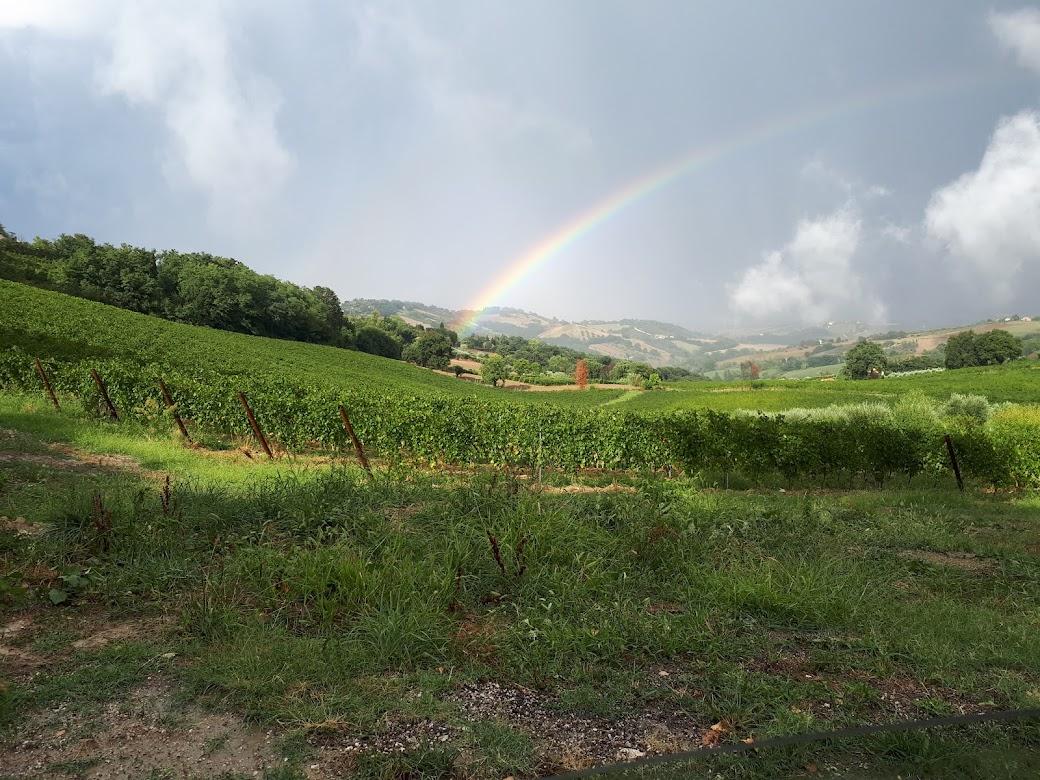 winery