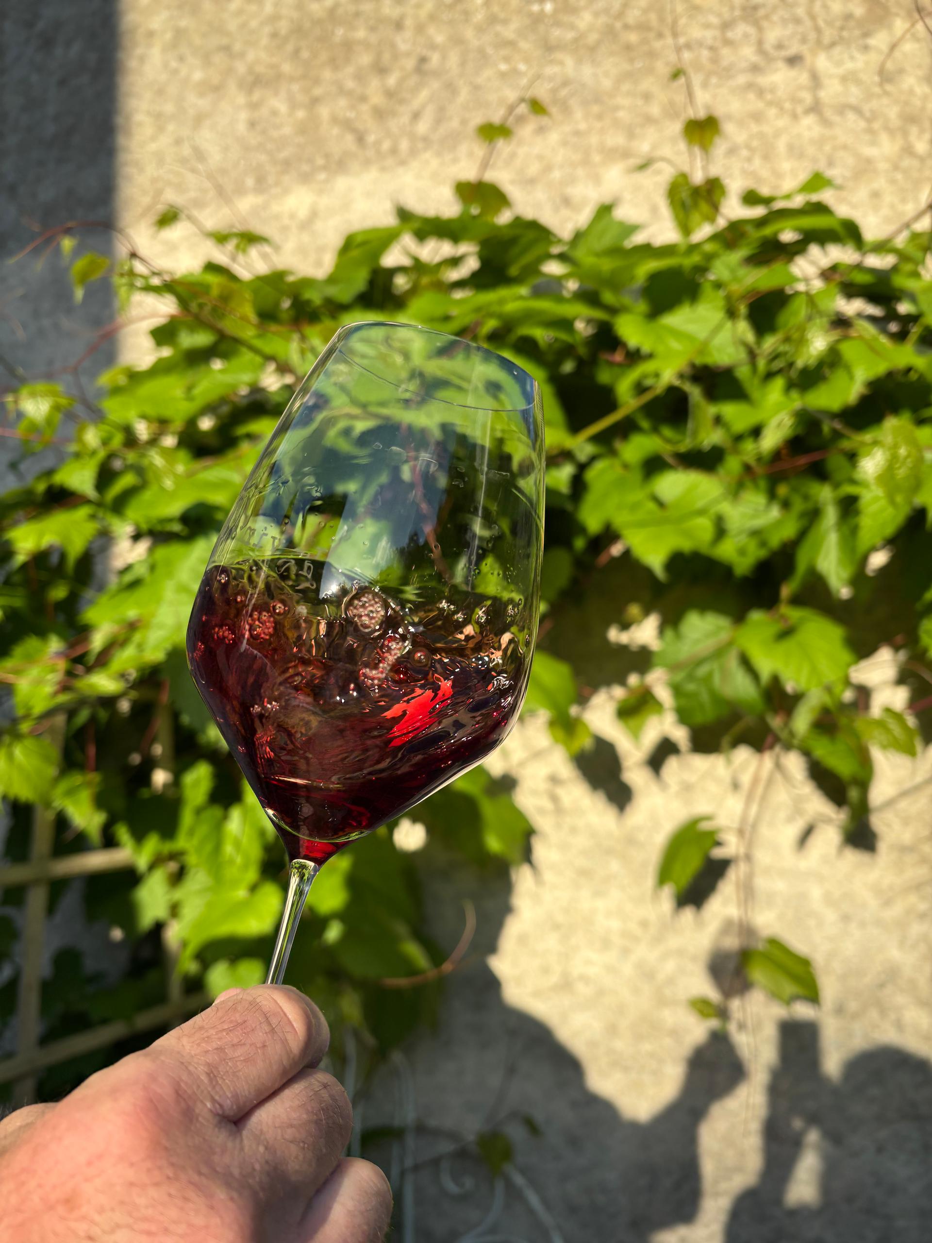 Winery gallery image 3