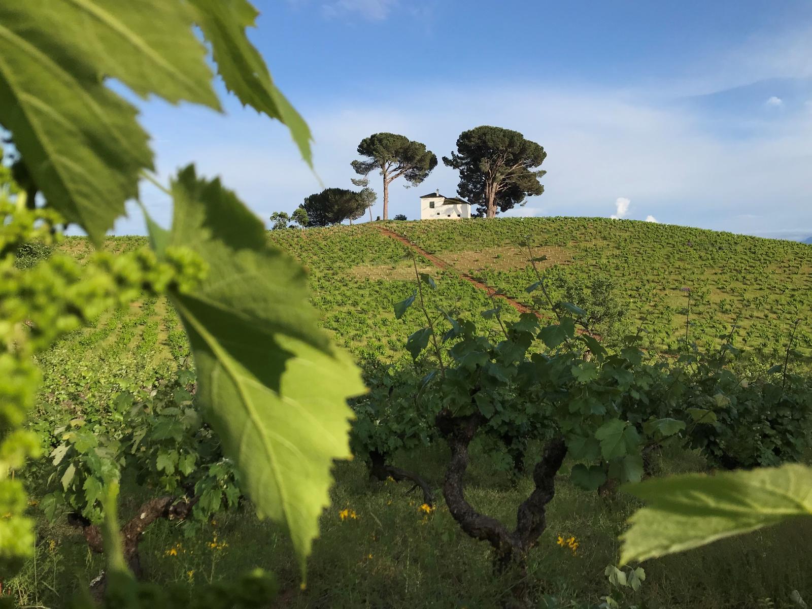 winery