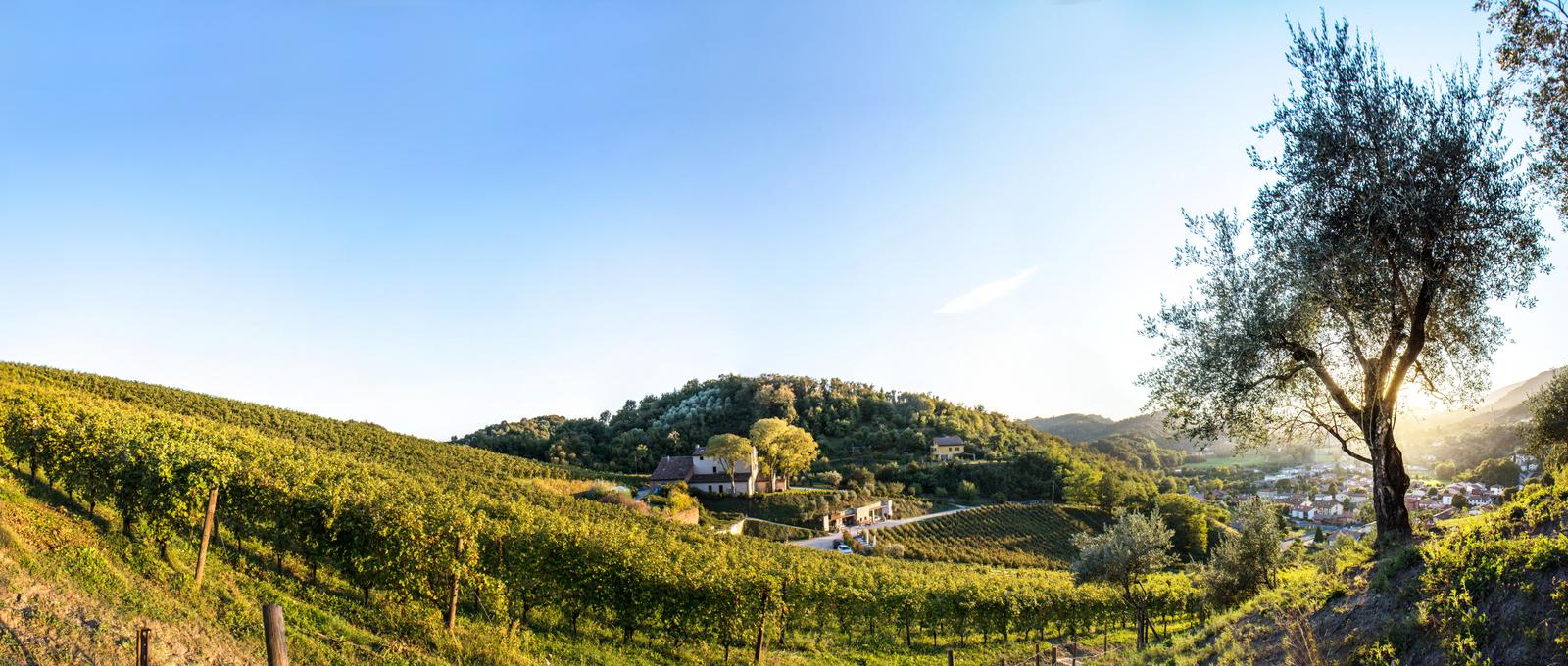 winery