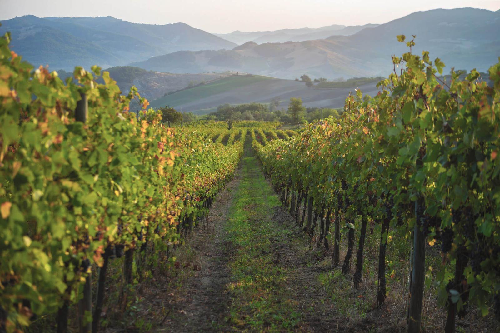 winery