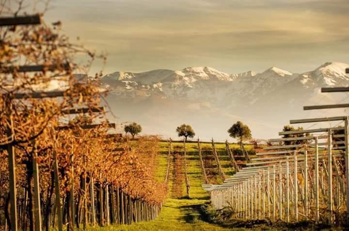 winery