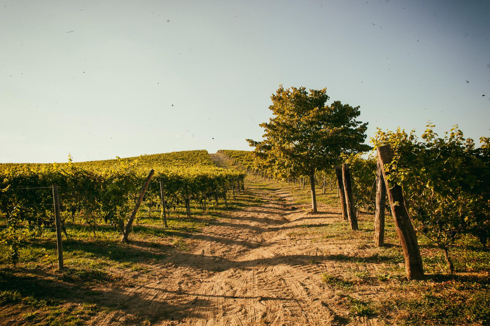 winery