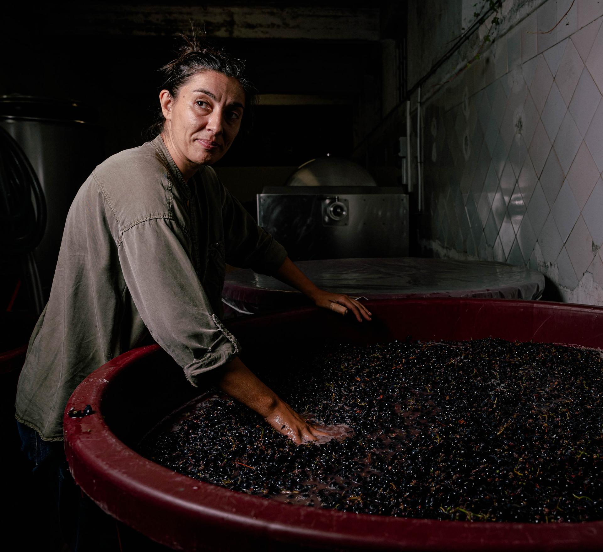 Winery gallery image 5