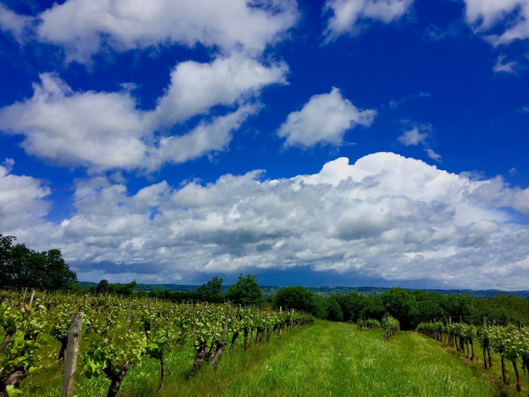 Winery gallery image 5