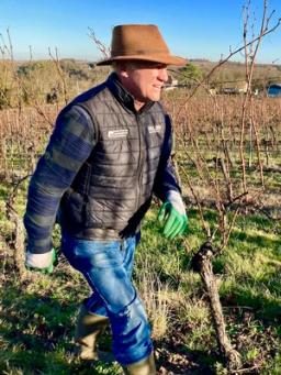 Domaine La Tourbeille
