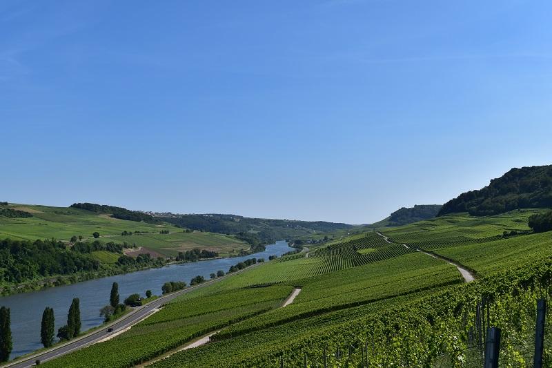 Winery gallery image 3