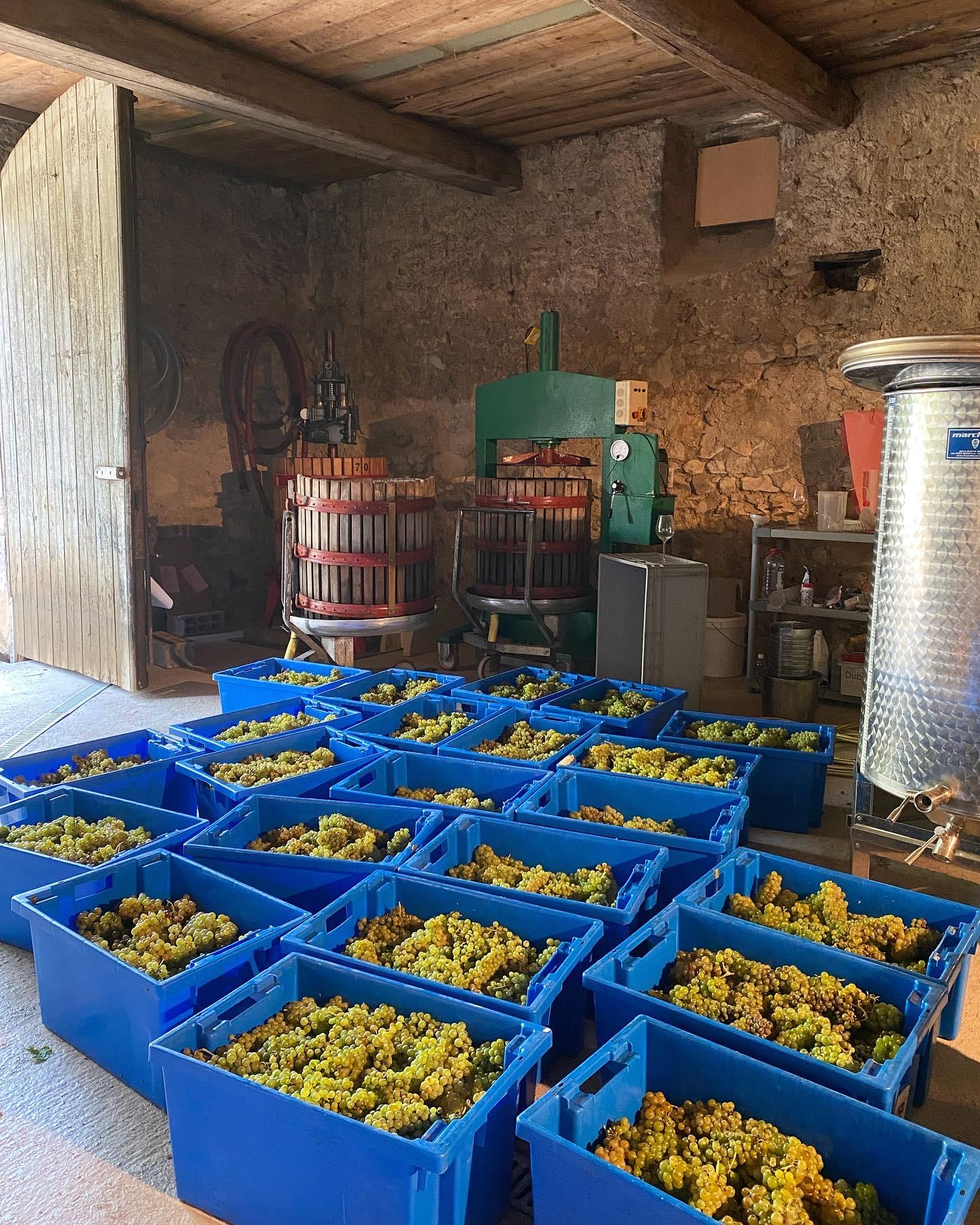 Winery gallery image 4