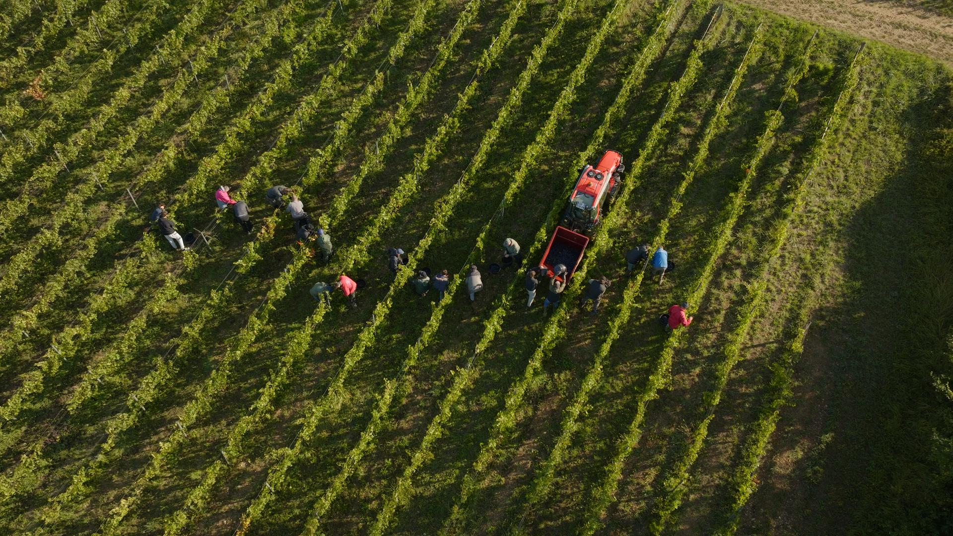 Main winery image
