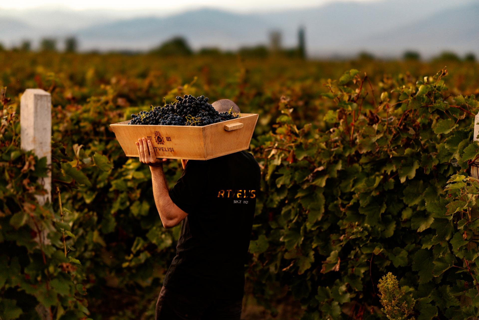 Main winery image
