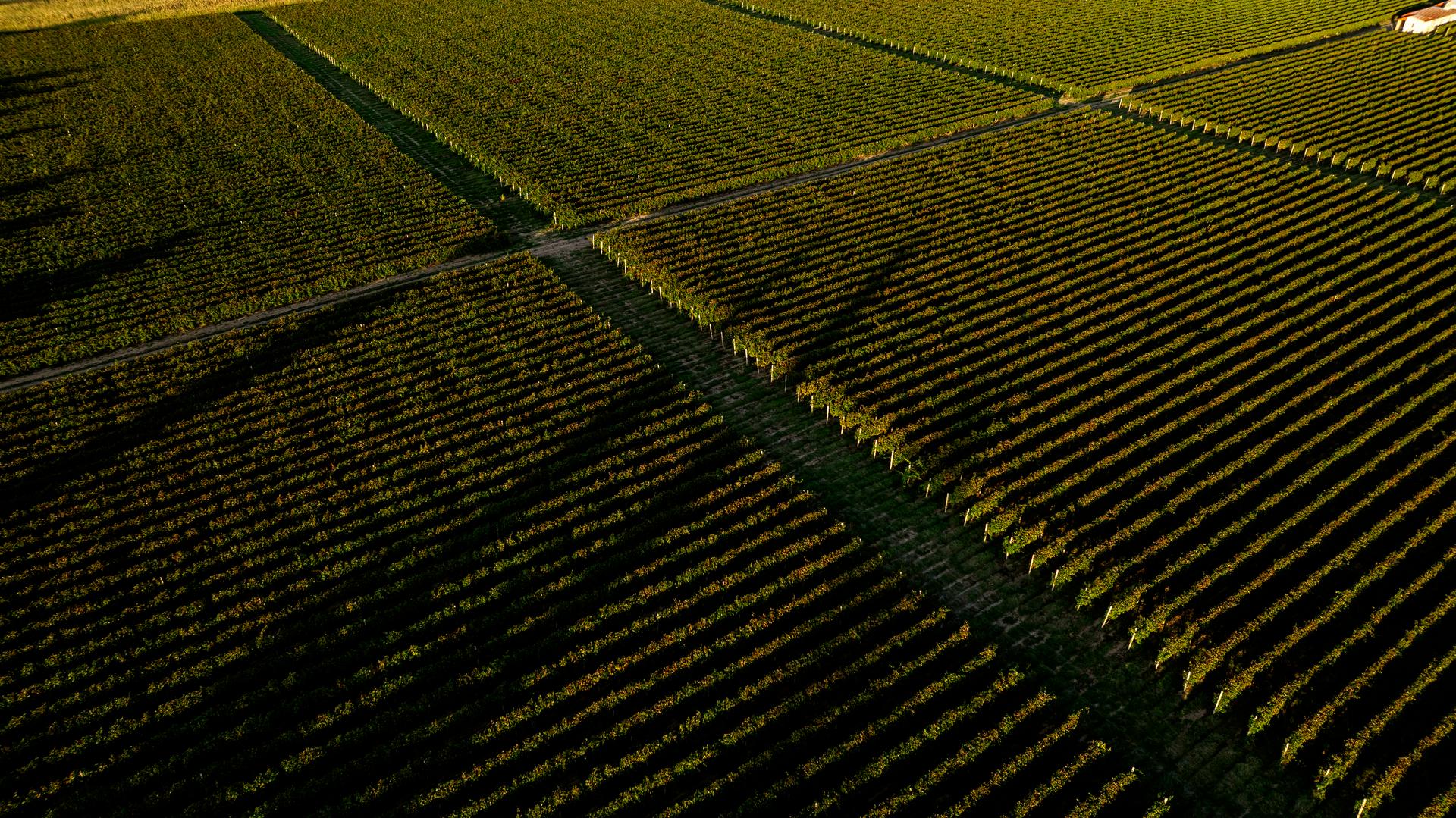Winery gallery image 2
