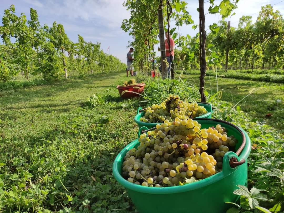 Winery gallery image 5