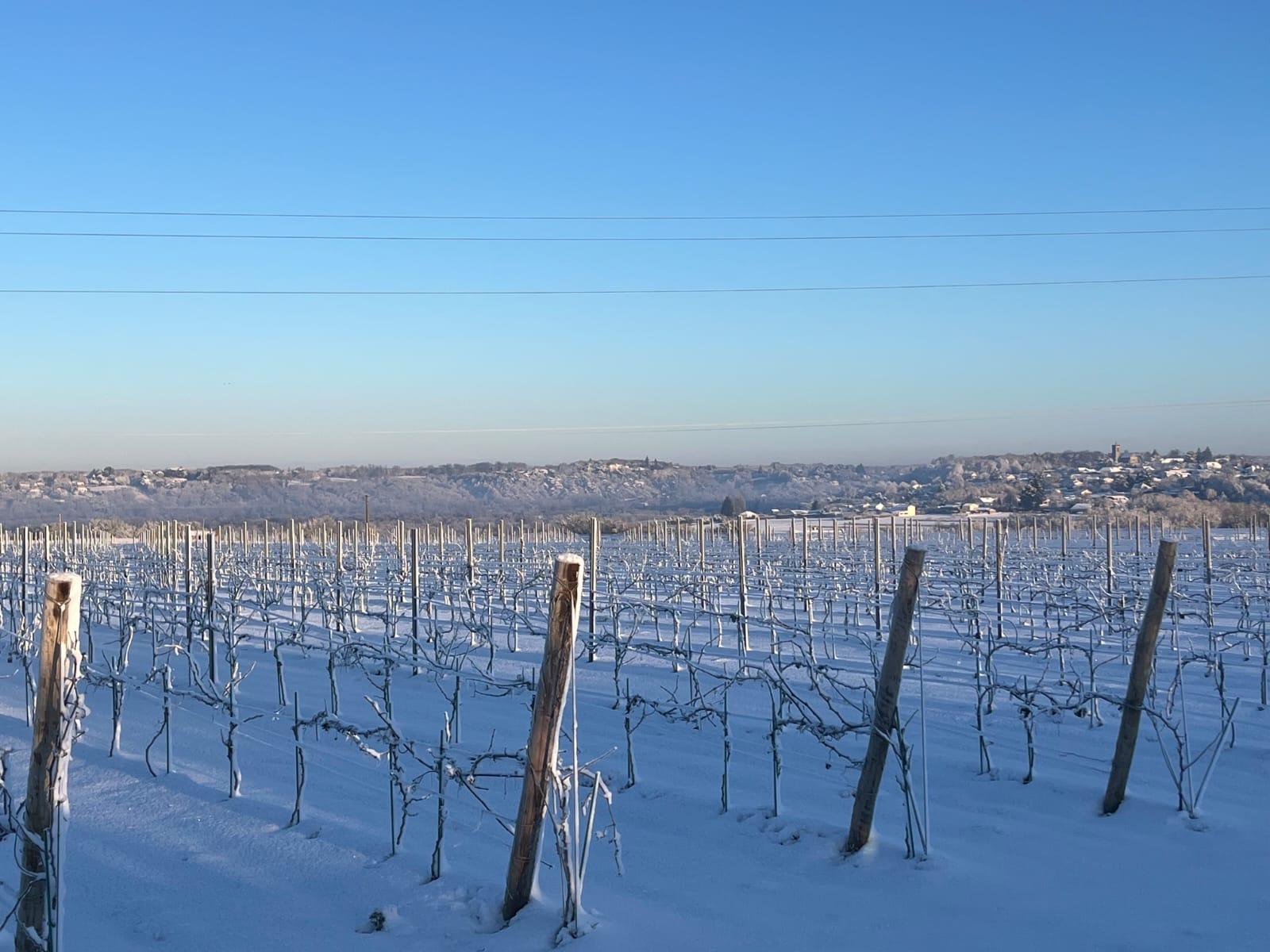 Winery gallery image 5