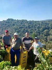 Banzao - Valle del Ancares