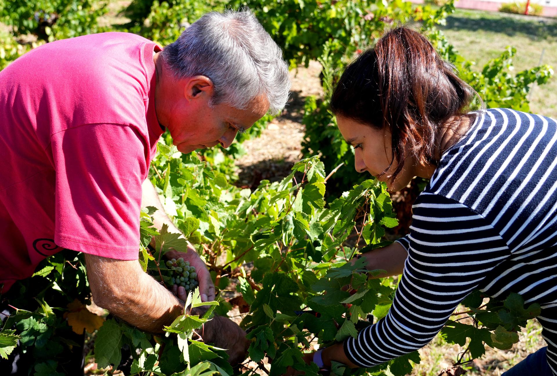 Winery gallery image 3
