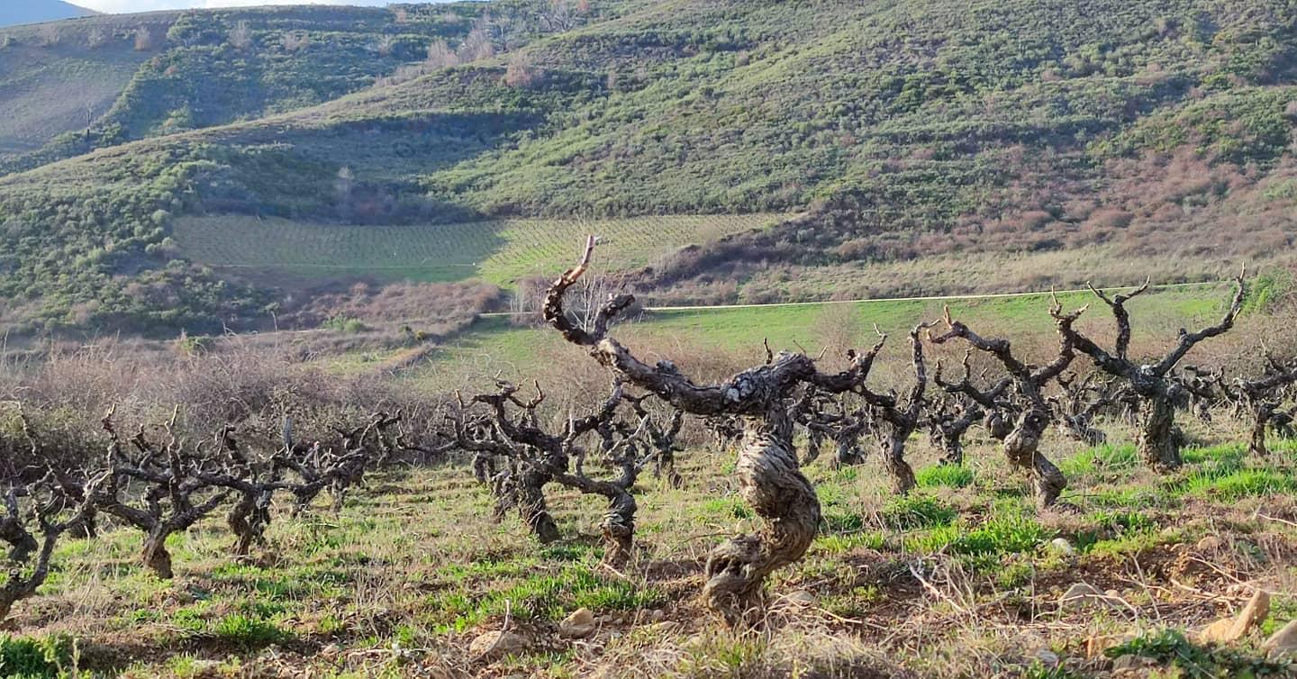 Winery gallery image 4