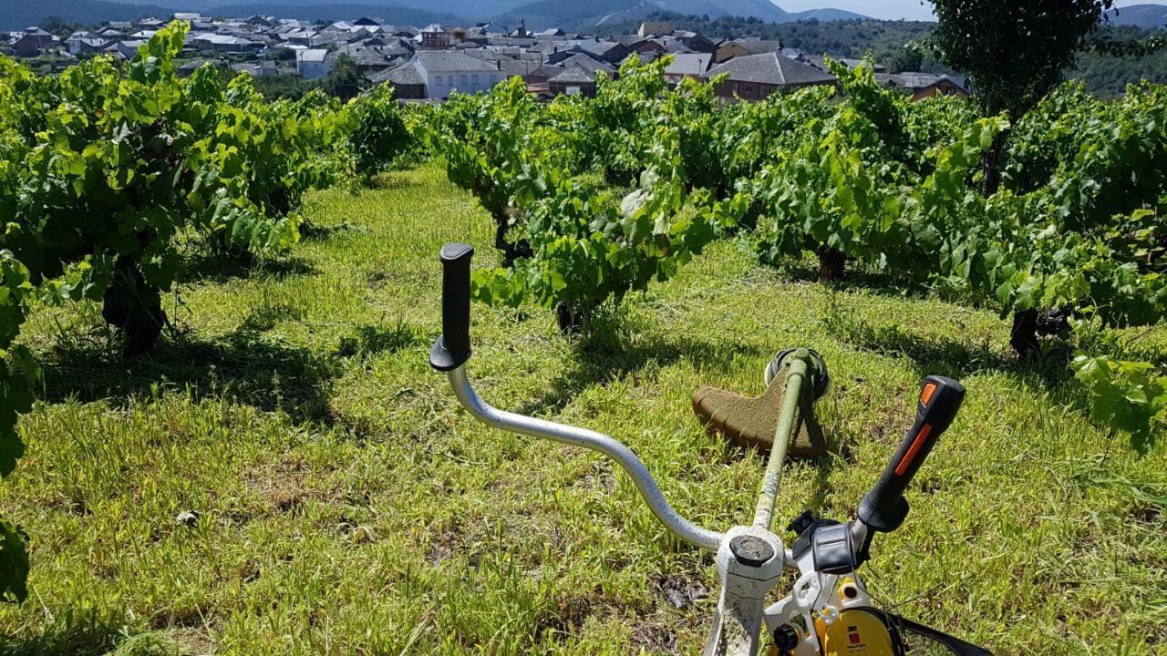 Winery gallery image 5