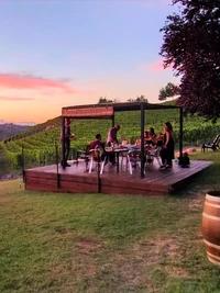 Ca 'd Tantin Vini Biologici - Organic Wines