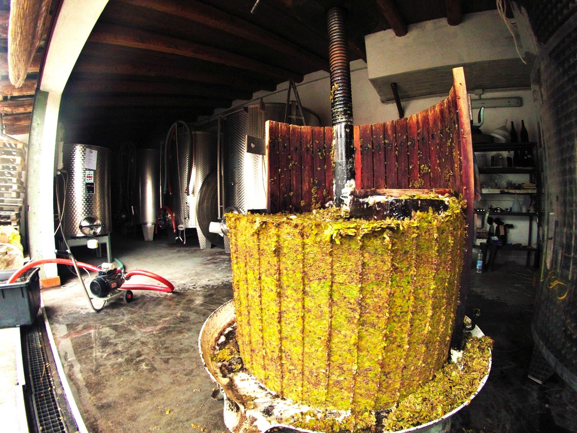 AZIENDA AGRICOLA BIOLOGICA CA 'D TANTIN DI VENTURINO ANDREA galleribild