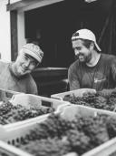 Ca 'd Tantin Vini Biologici - Organic Wines