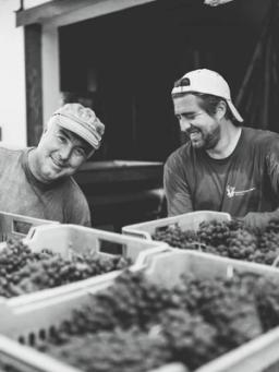 Ca 'd Tantin Vini Biologici - Organic Wines