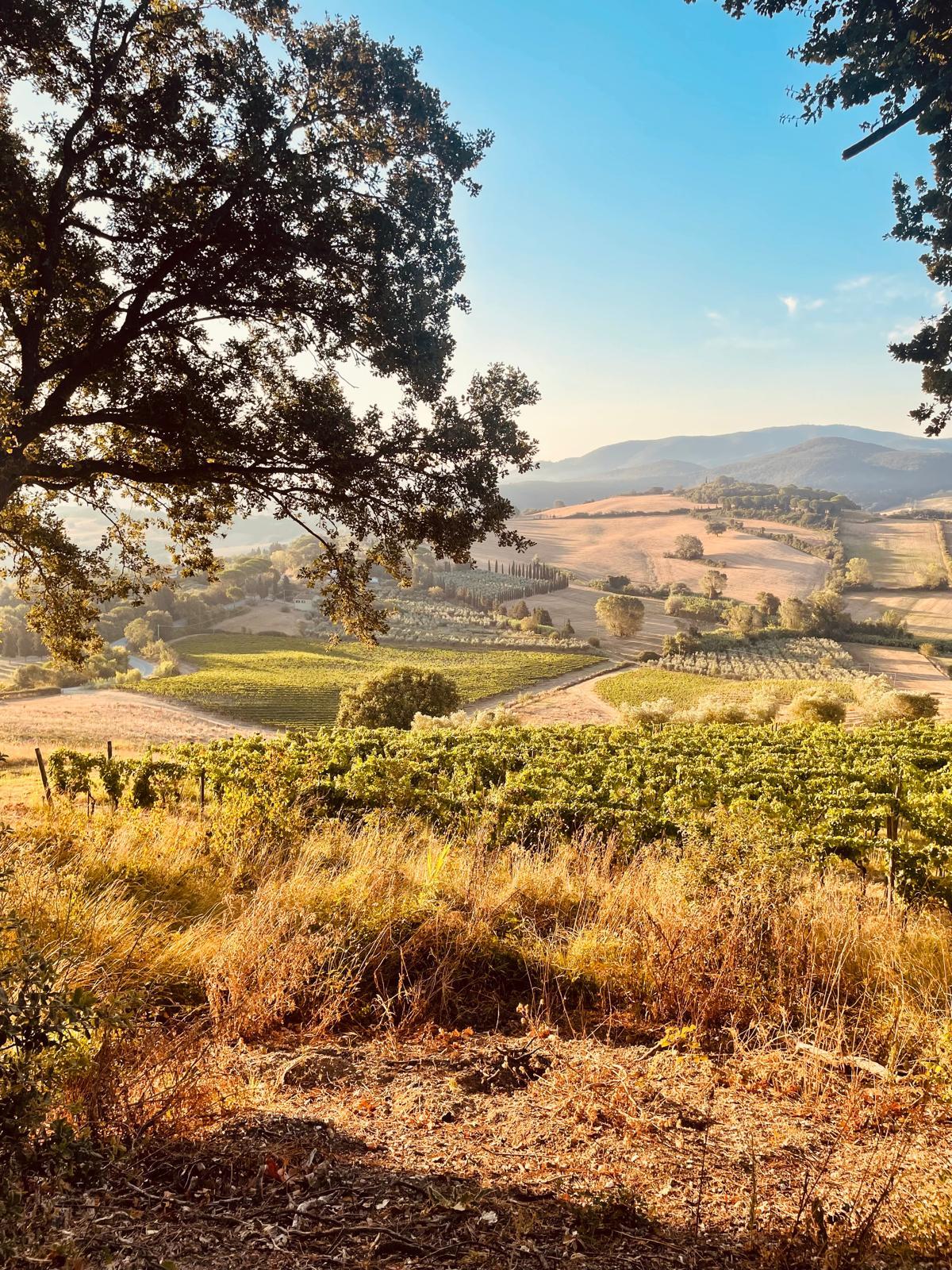 Winery gallery image 2