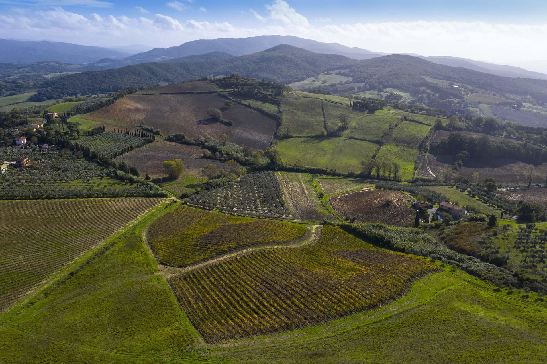 AZIENDA AGRICOLA TENUTA CARPOLI SAS DI LUICK PARTECIPAZIONI gallery image