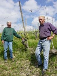 GRASSO FRATELLI SSA, Piemonte, Italy