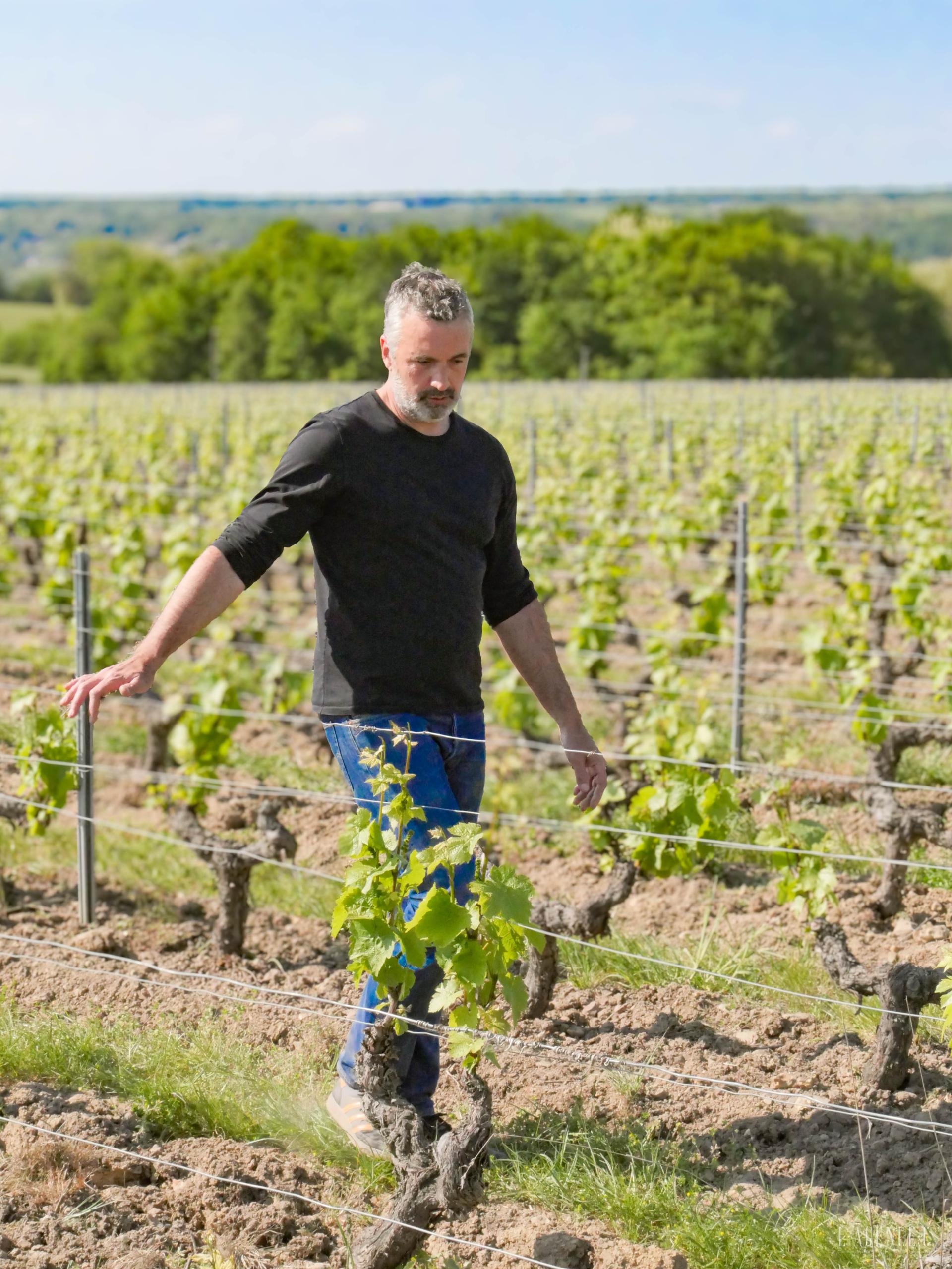 Domaine de la Rochette gallery image
