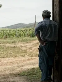 Cantina I Vini di Maremma, Toscana, Italy