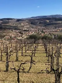 Contràmalini, Veneto, Italy