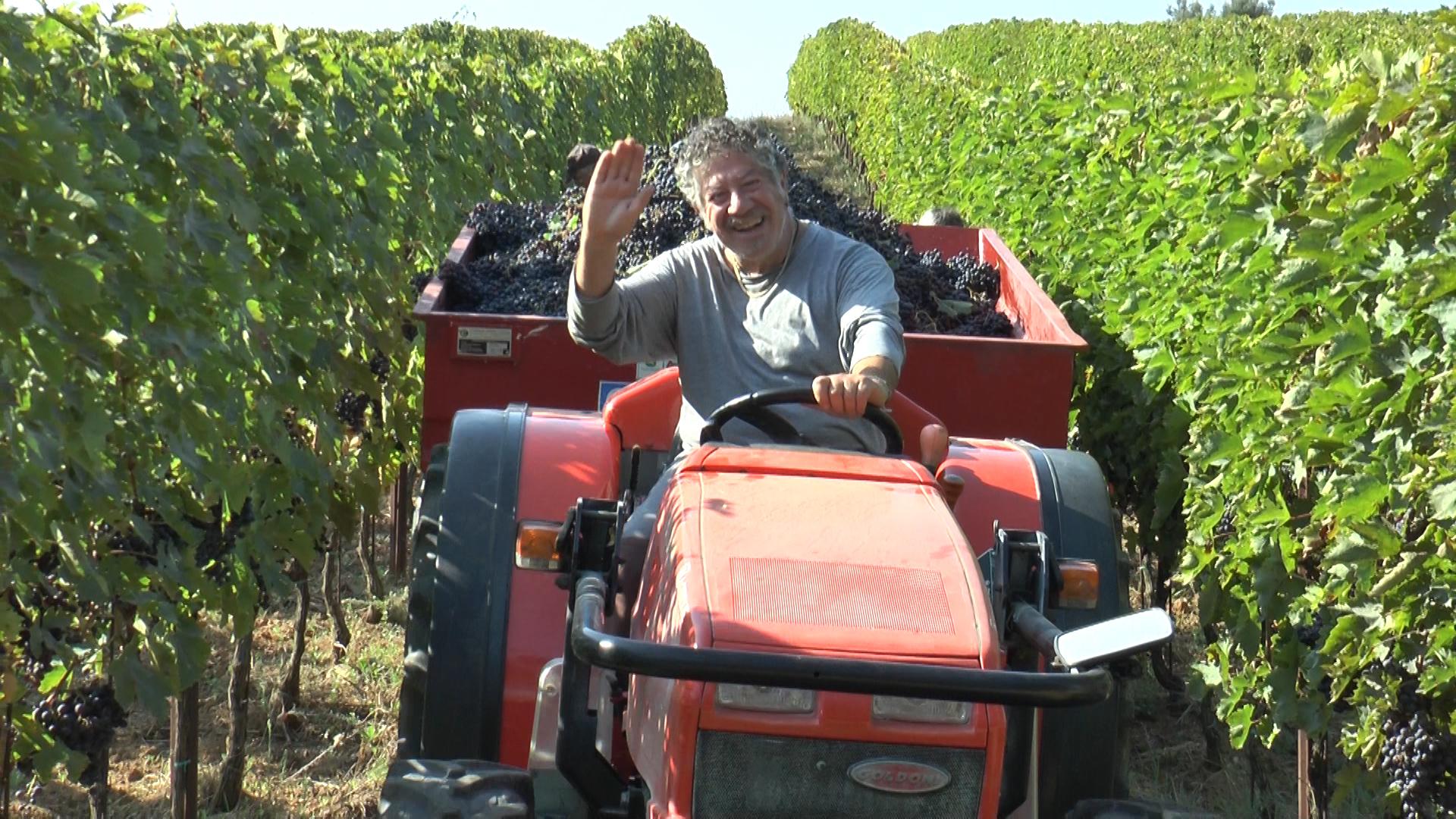 Podere Colle San Massimo Società Agricola Semplice gallery image