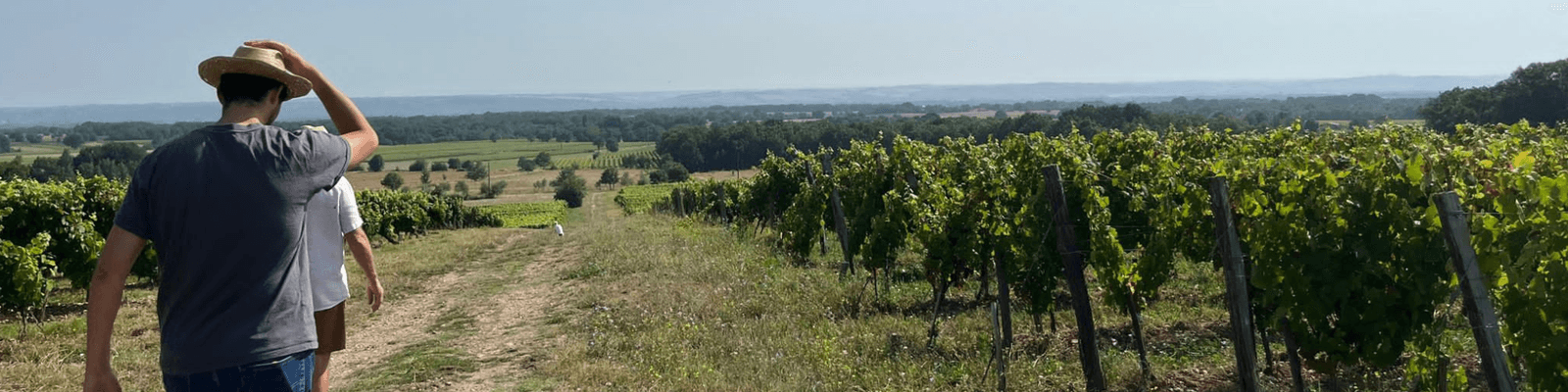 winery