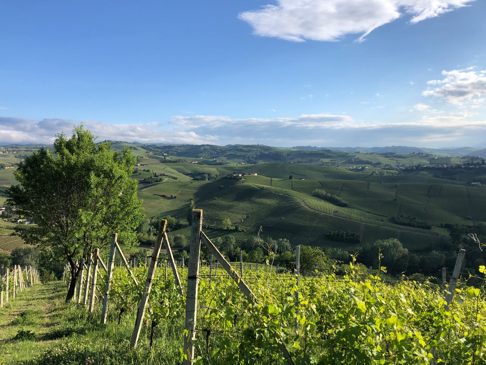 winery