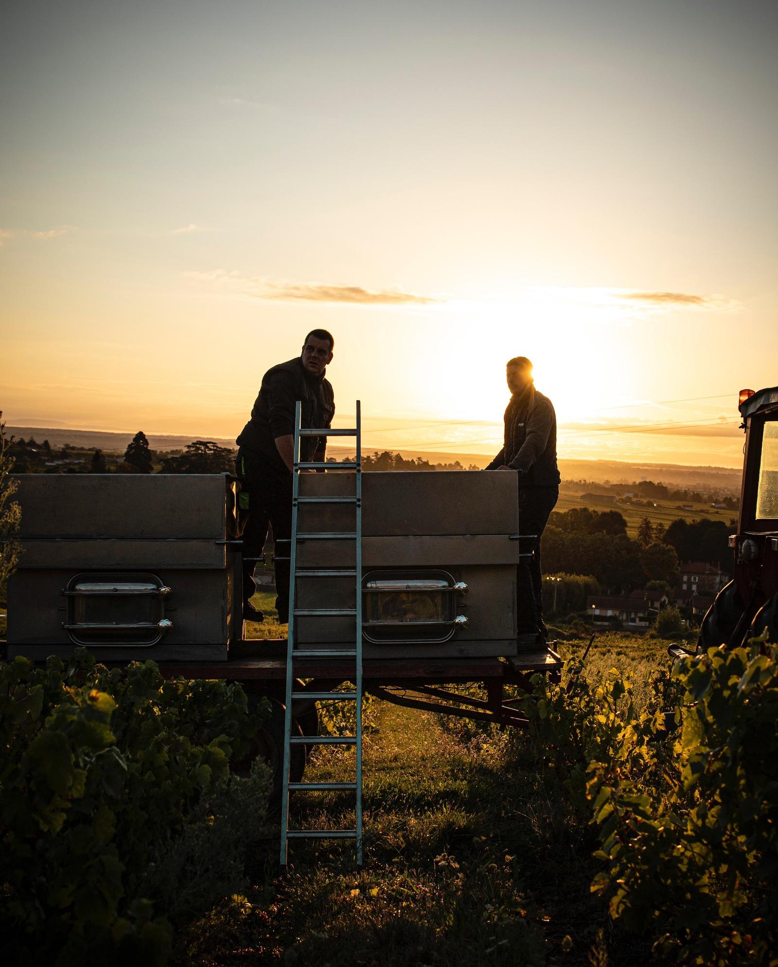 winery