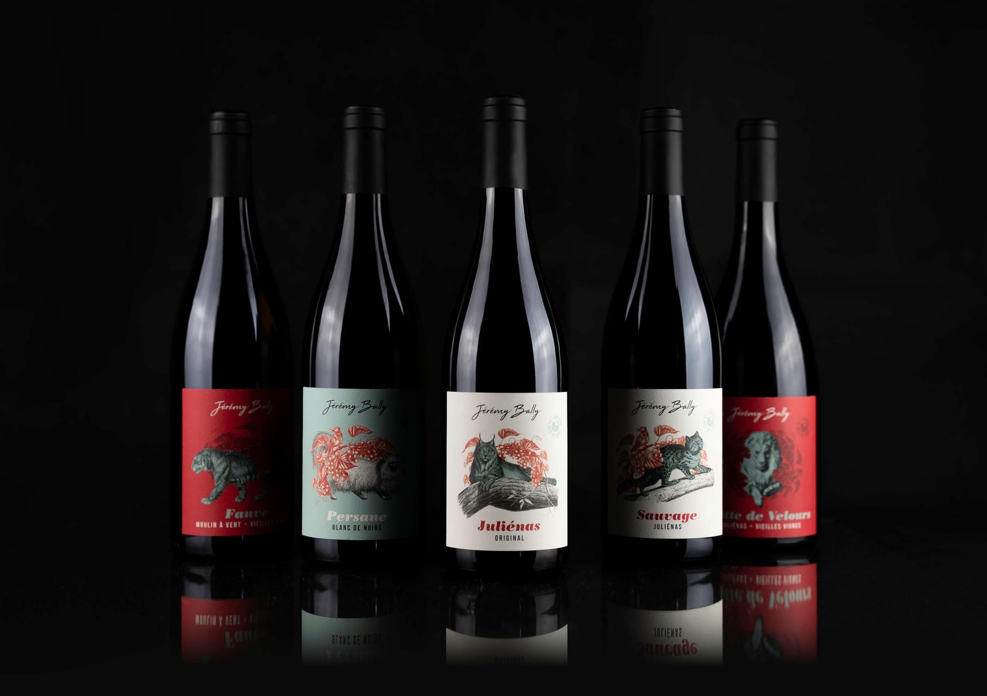 Domaine du Bois du Chat