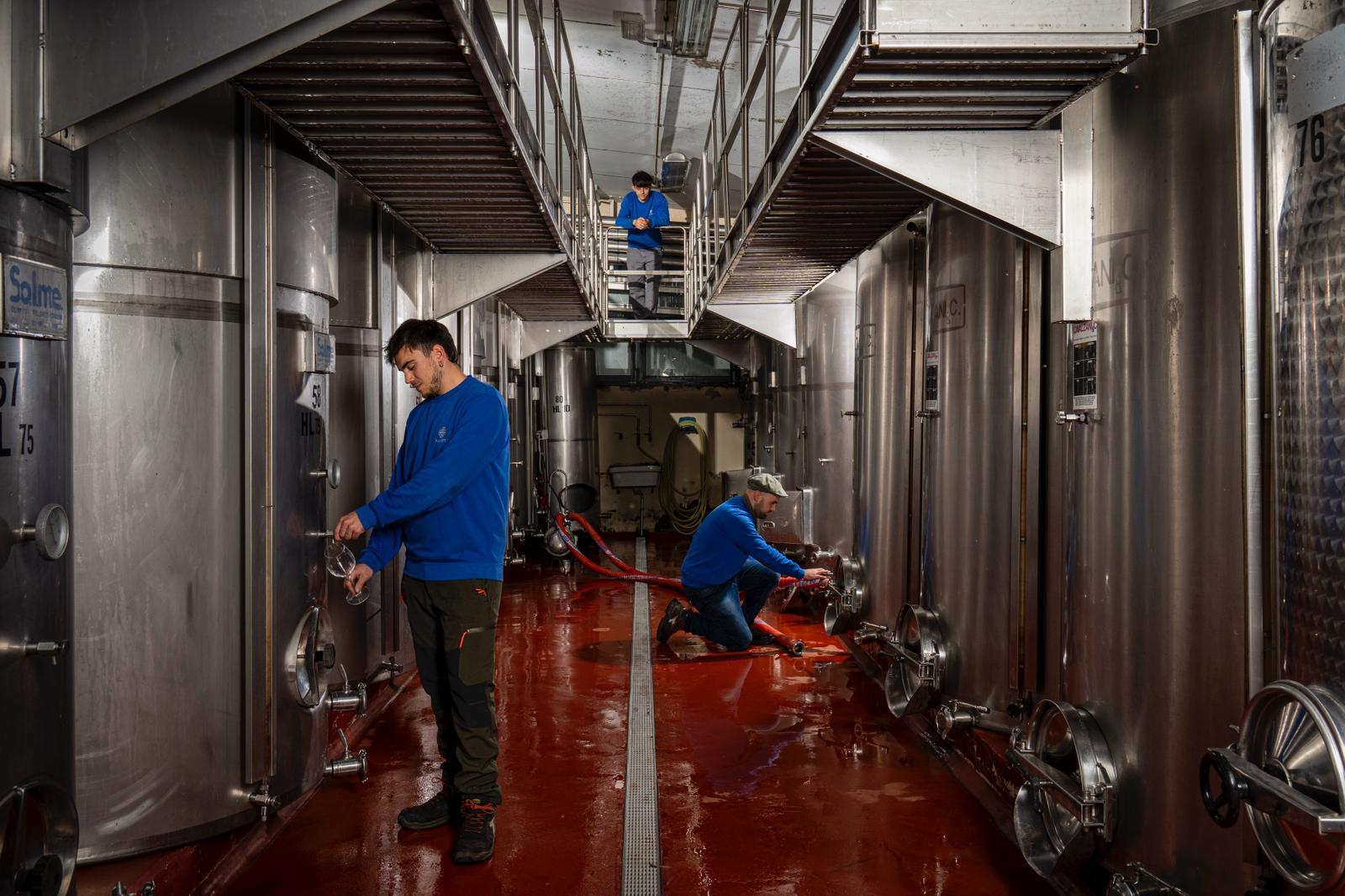 Palagetto Srl.Soc. Agricola galleribild