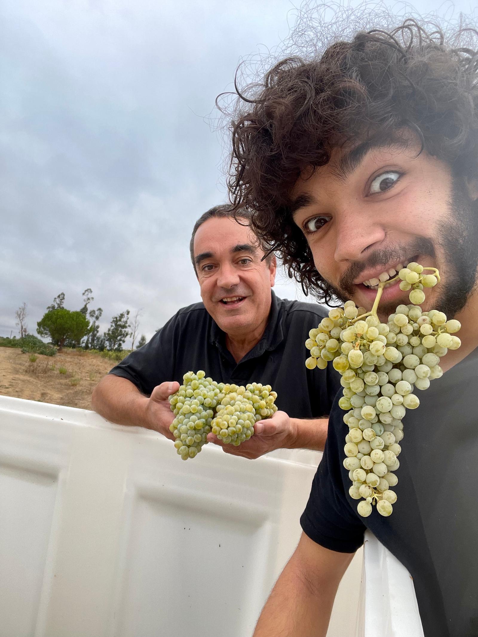 winery