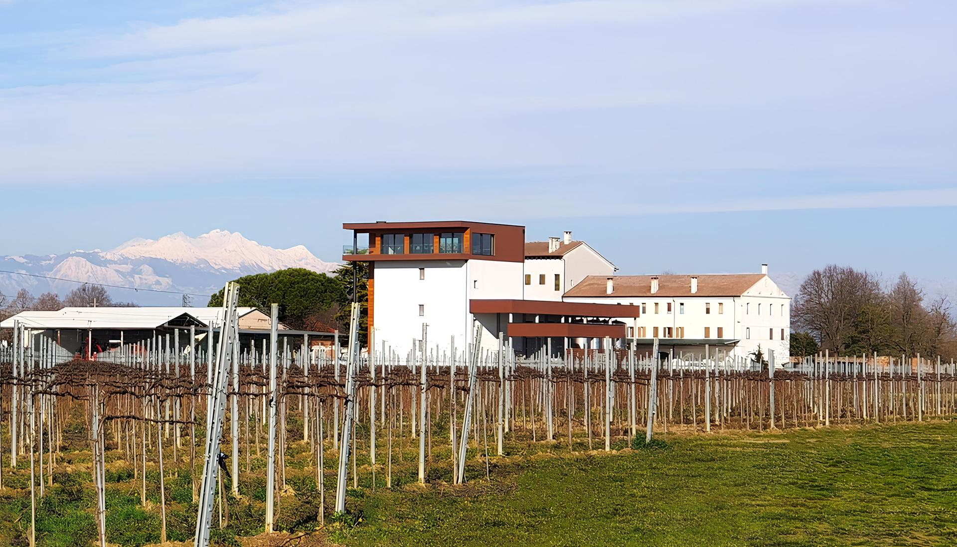 Winery gallery image 5
