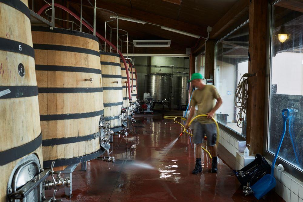 winery
