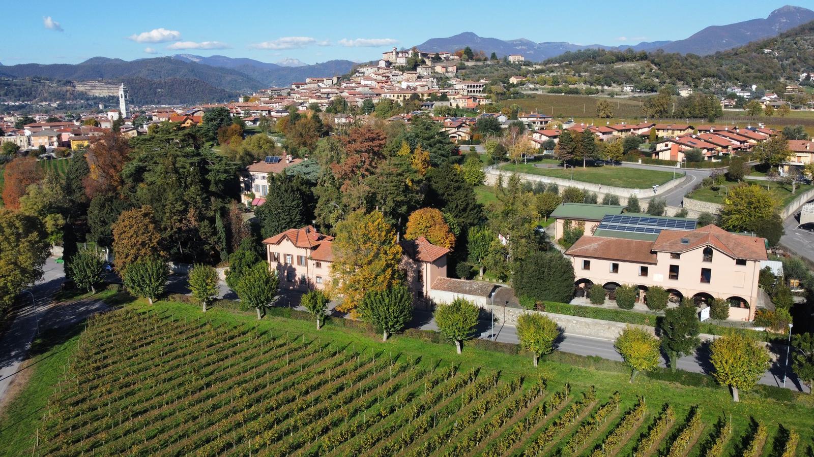 winery