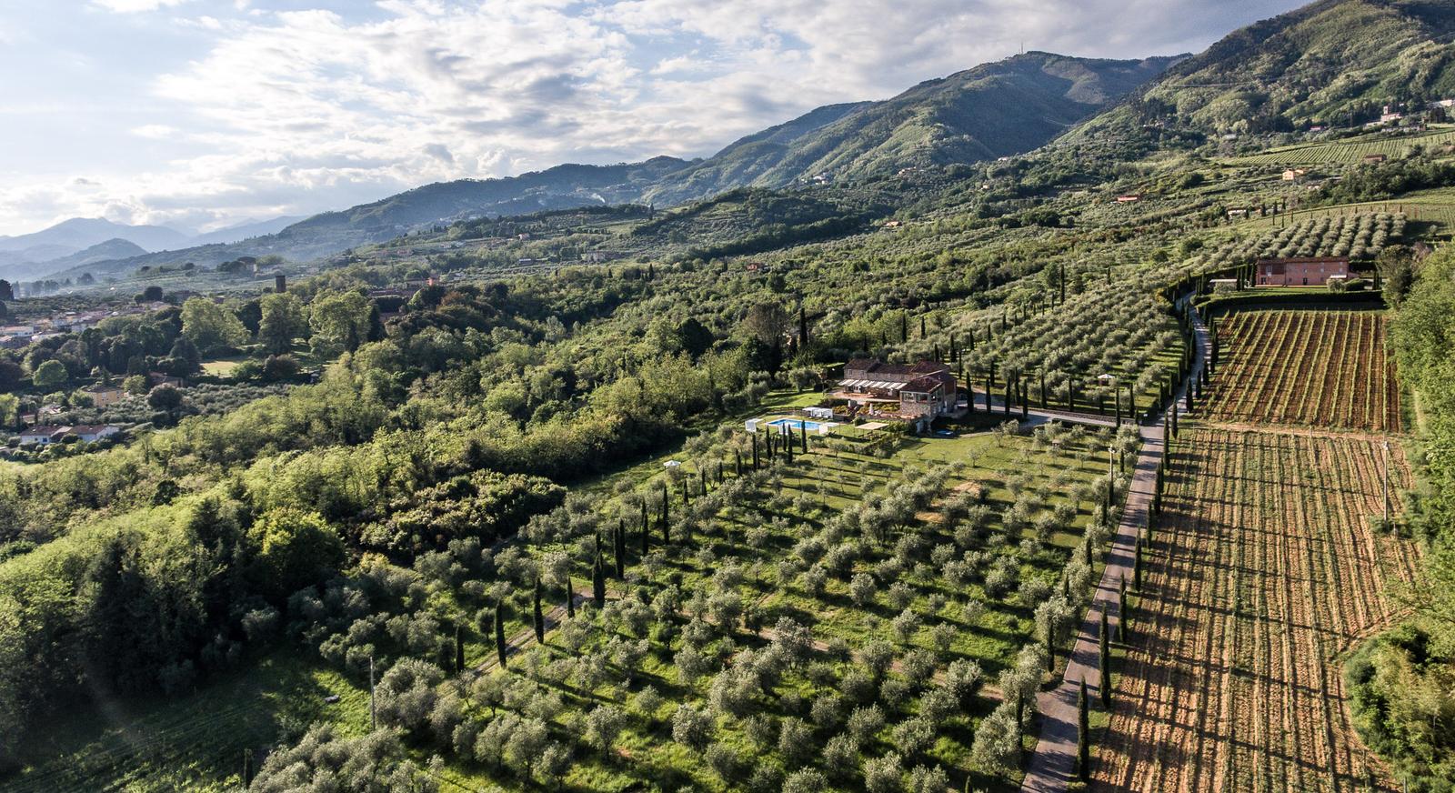 winery